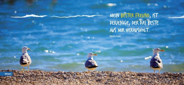 ADRIART ISTRA-NJEM - Slika 2